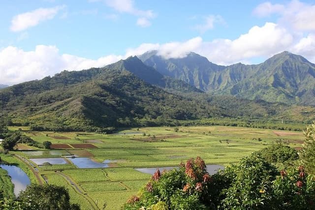 Kauai: Hawaii Movie Tour