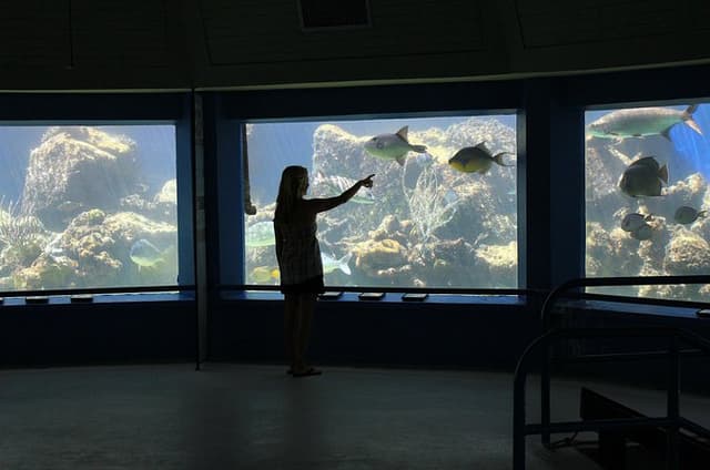 Coral World Ocean Park General Admission Ticket