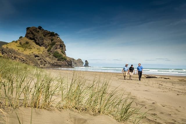 Auckland City & West Coast Highlights Tour with Black Sand Beach.