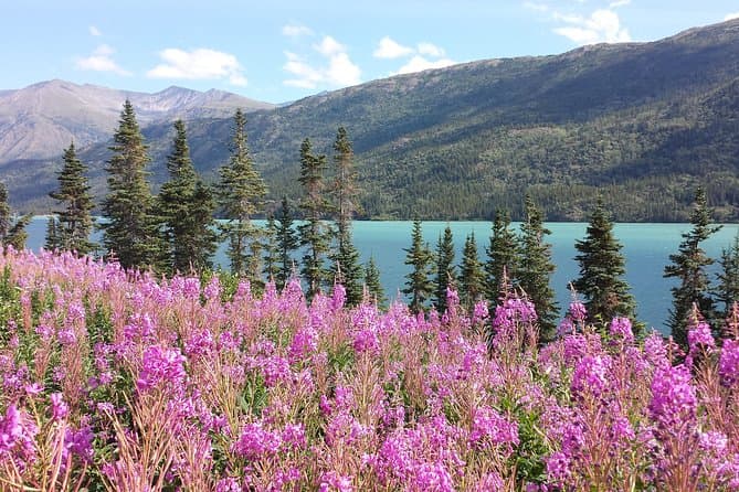 Skagway to Yukon: An Epic Gold Rush Adventure