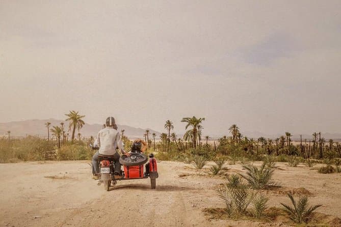 Authentic Calèche Rides: Discover Marrakech by Horse Carriage