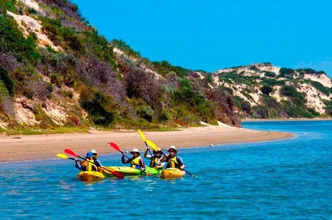 Best Adelaide City Kayak Tours Compared