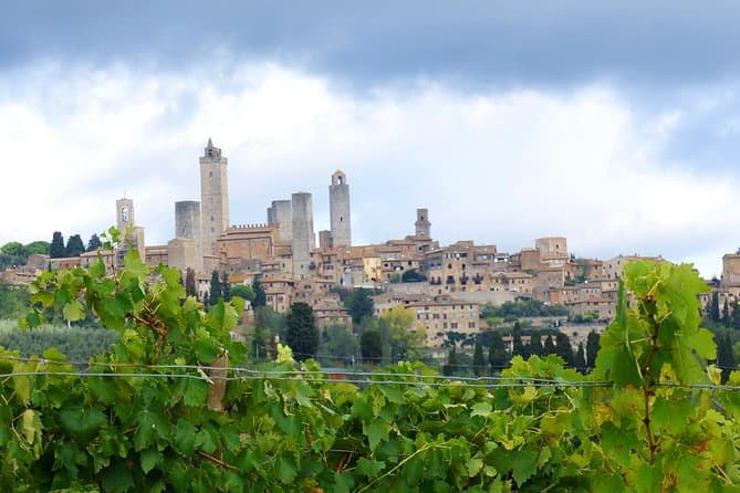 Premium Private Car Service: Siena to Florence