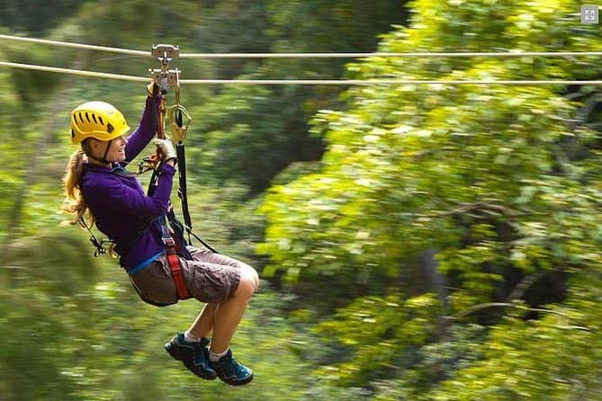 Explore Kohala Waterfalls Tours & Hikes