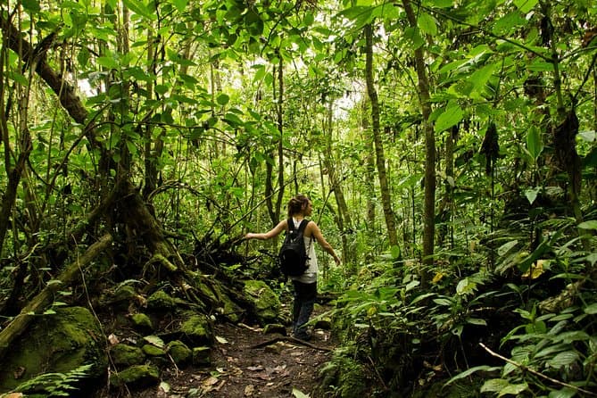Chingaza Natural Park: Bogotá's Premier Eco-Adventure