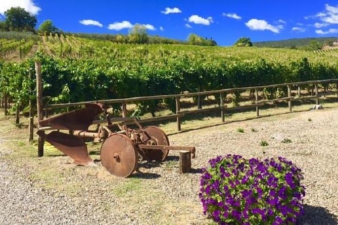 Best Chianti E-Bike & Wine Tasting Tour from Montecatini