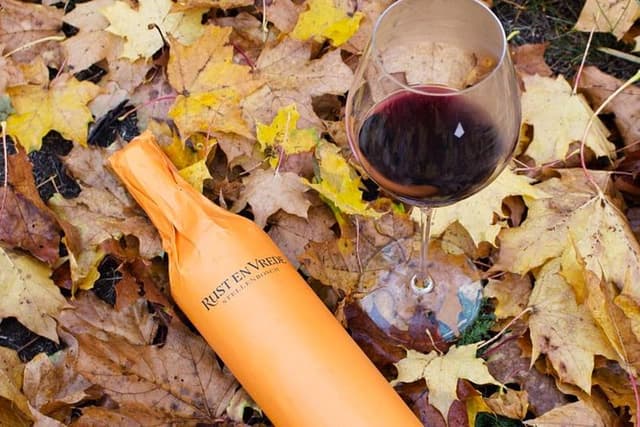 Stellenbosch Winelands Connoisseur Day Tour with Private Transfer