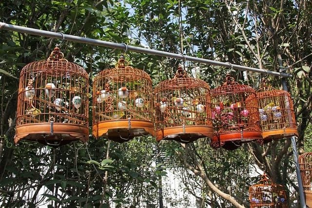 6-Hour Private Beijing Tour: Flower and Fish Market, Panjiayuan Antique Market and 798 Art Zone