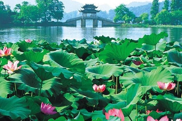 Day Tour of Picturesque Hangzhou