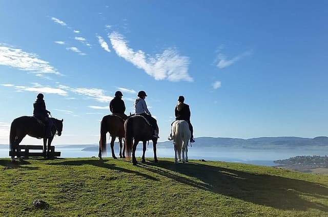 Guided Horse Trekking from Rotorua