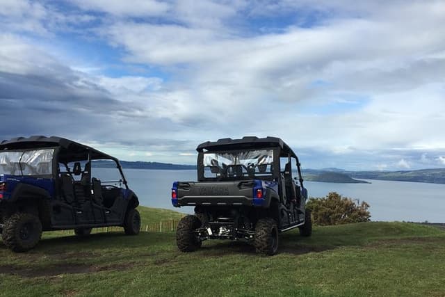 Rotorua Off-Road 4WD Buggy Adventure