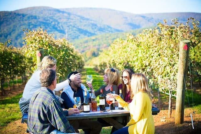 Maipo Valley Wine Tour from Santiago.