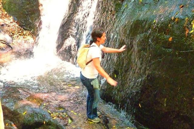Ecological walk in sao paulo
