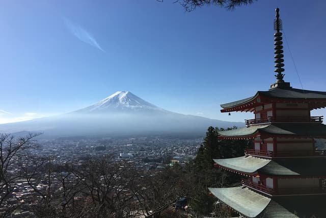 Mt. Fuji Customized Private Tour: See Top Attractions in 1 Day