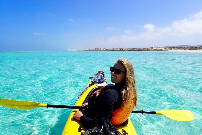 Unforgettable Ningaloo Reef Snorkel Tours in Exmouth