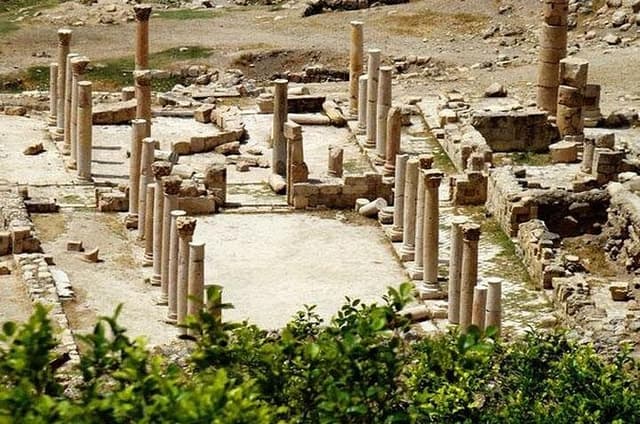 Private Tour to Jerash, Ajloun, and Pella from Amman