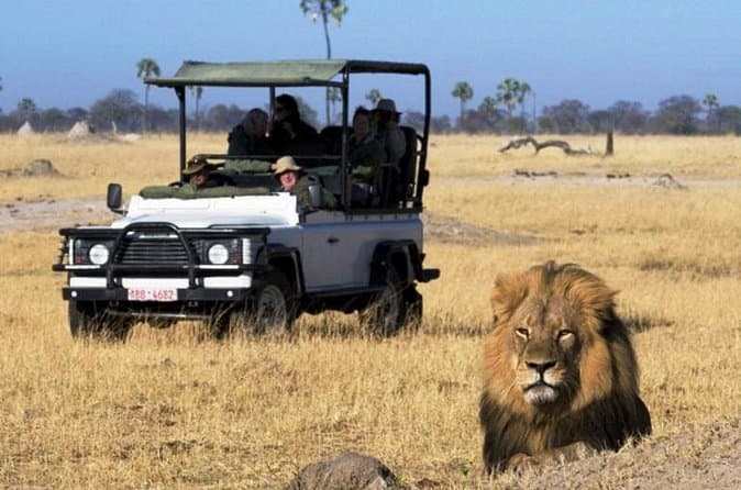 Chobe Safari & Falls: Compare Top Tours