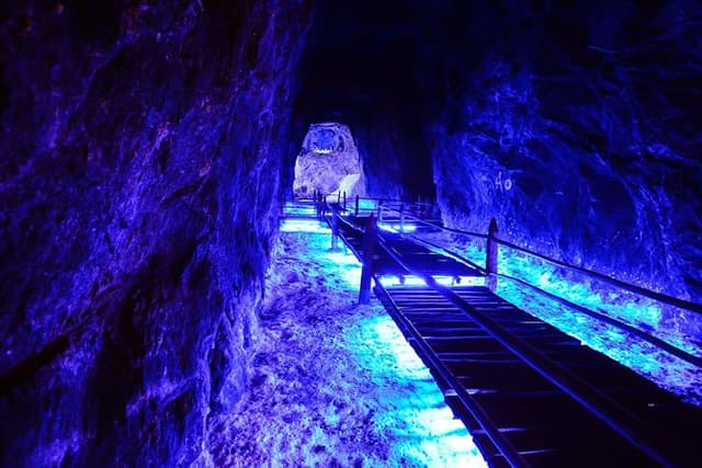 Private Half-Day Trip to the Salt Mine of Nemocón Including Lunch from Bogotá