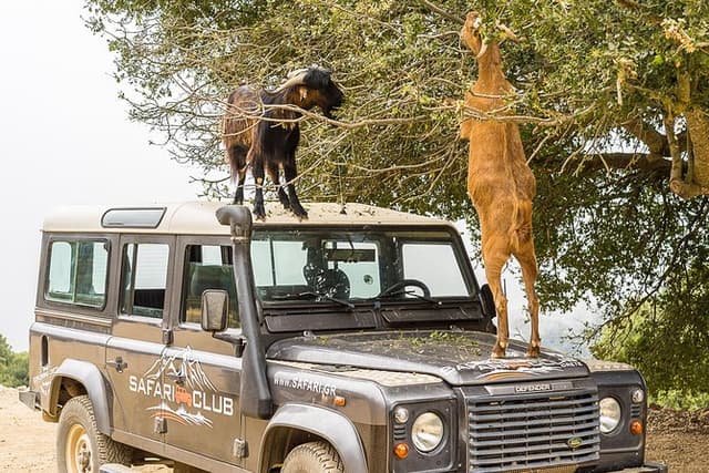 Safari Club Minoan Route with Lunch