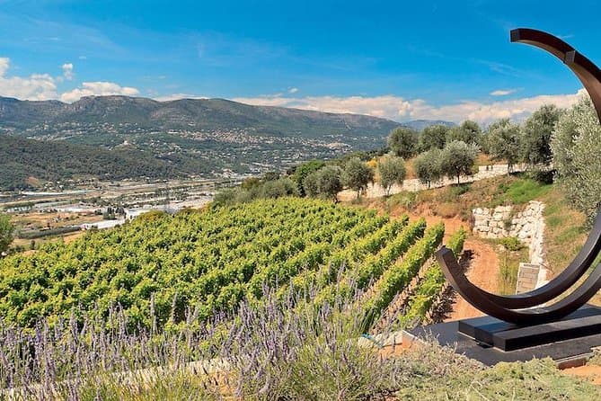 Authentic Bellet Wine Tasting & Vineyard Tours in Nice