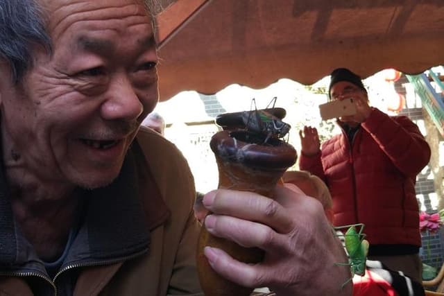 Private Hutong Culture Tour with Dumpling Cooking Class plus Cricket Fighting Game