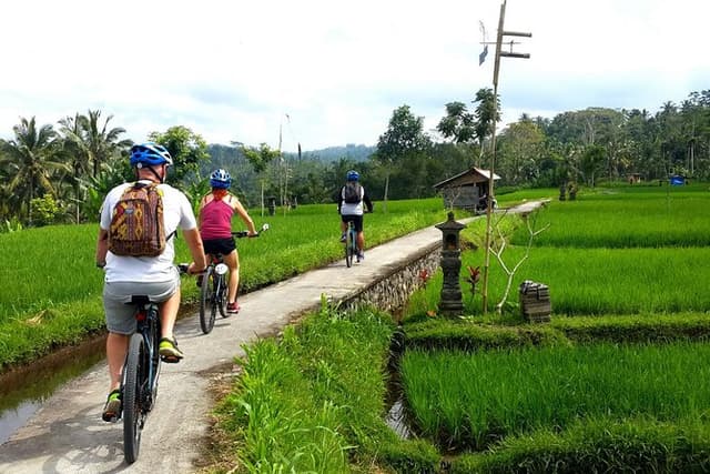 Electric Cycling Tour of Ubud with Free Hotel Transfer and Lunch