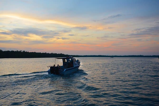 Top Rated Santubong Wildlife Cruise Tours in Kuching
