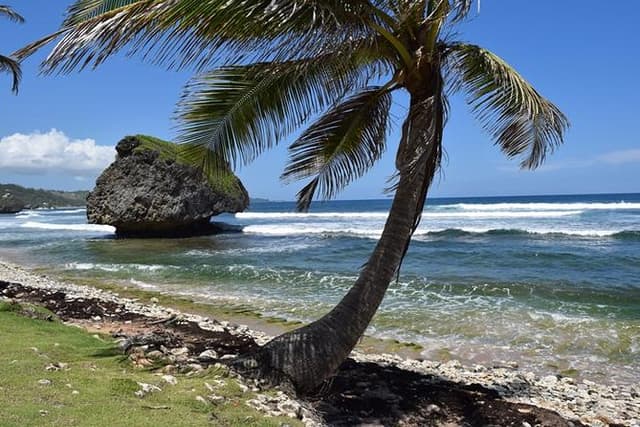 Explore and Discover Barbados By Land & By Sea