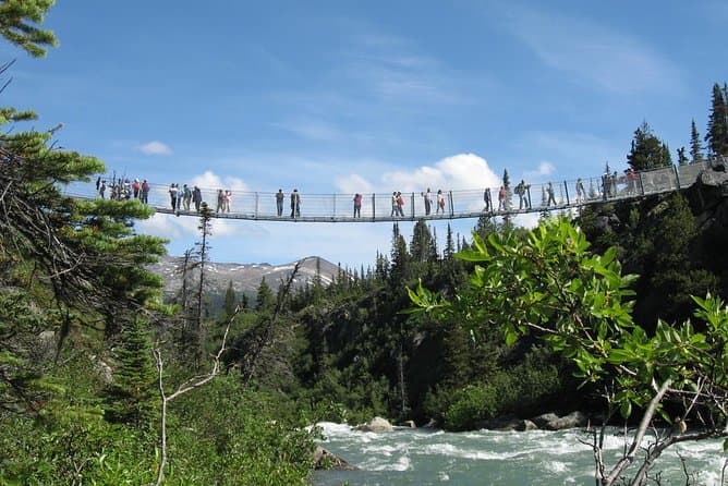 Unforgettable Yukon Suspension Bridge Adventures in Skagway
