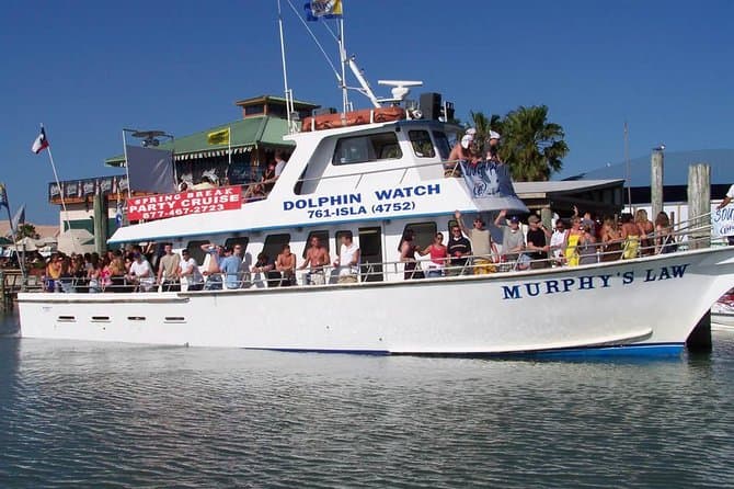 Best South Padre Island Dolphin Watching Adventures