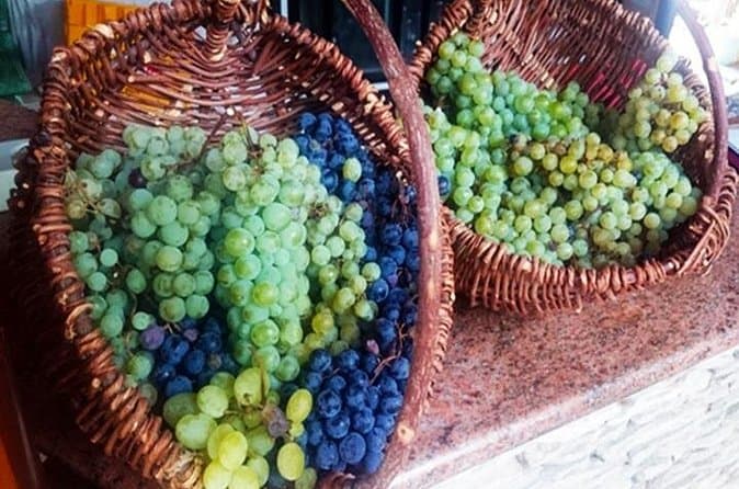 Best Rated Mostar Wine Tours & Tastings