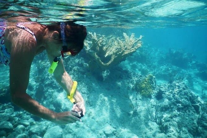 Top-Rated Batam Snorkeling Excursions Near Singapore