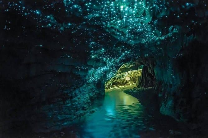 Premium Auckland to Rotorua Private Guided Journeys
