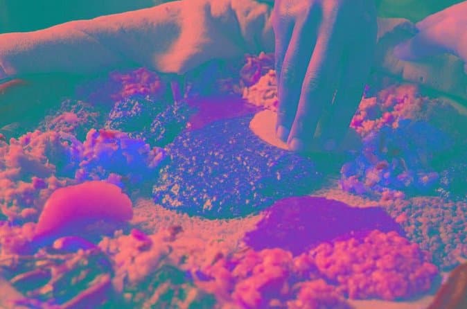Compare Top-Rated Addis Ababa Food Experiences