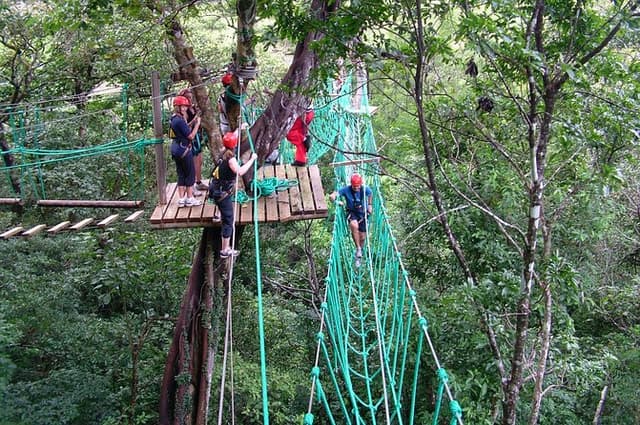 High Ropes Tour at Adventure Park from San Jose