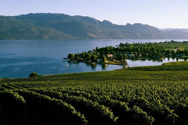 West Kelowna Wine Tour - Classic - 4 Wineries