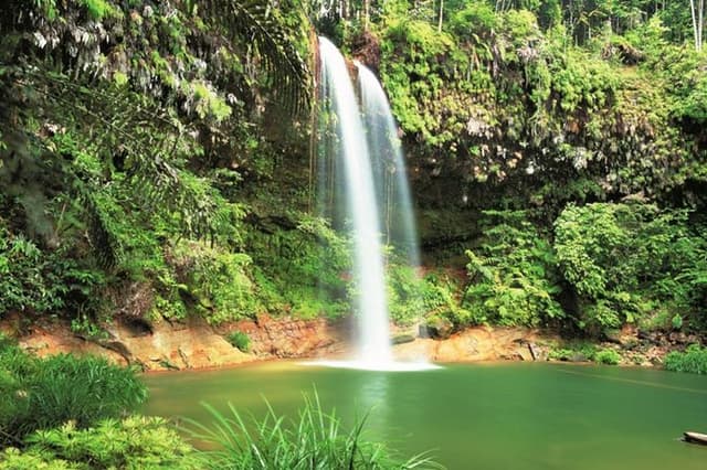 Half-Day Lambir Hills National Park Tour from Miri