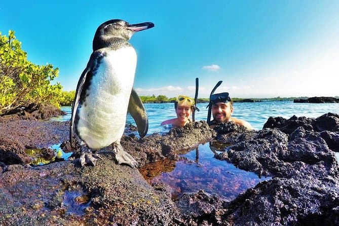 Best of Ecuador & Galapagos: The Ultimate Quito Escape