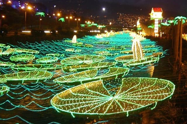 Private Christmas Lights Tour in Medellin with transportation