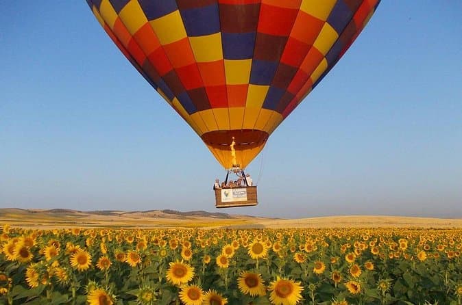 Compare Top-Rated Nao Vigia Balloon Rides