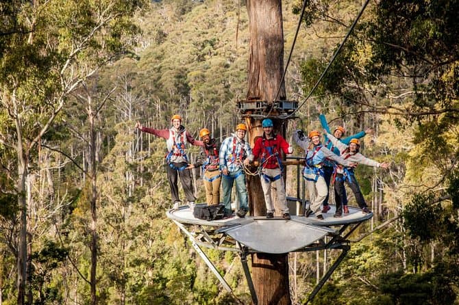 Top Family Fun: Hollybank Junior Ropes Course Launceston