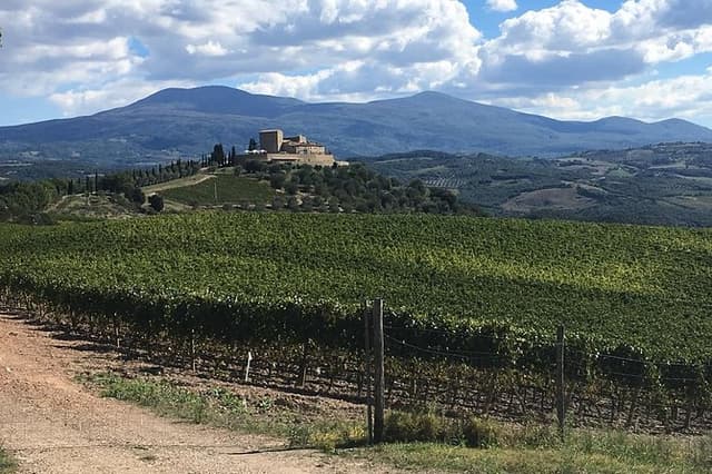 Brunello E-Bike Tour