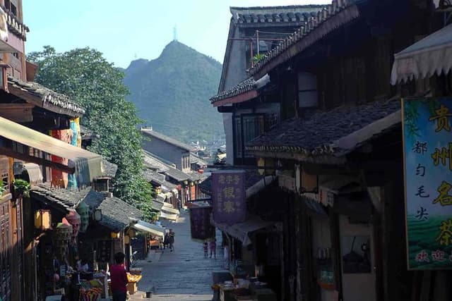 Private Guiyang Day Tour including Qingyan Ancient Town and Qianling Park
