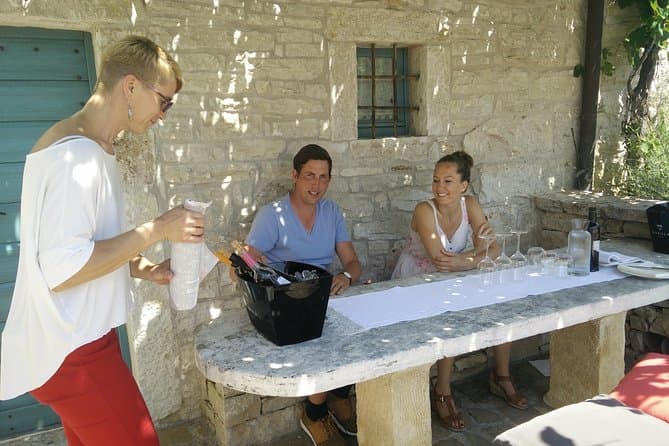 Best Istria Wine Tasting & Vineyard Tours from Rovinj