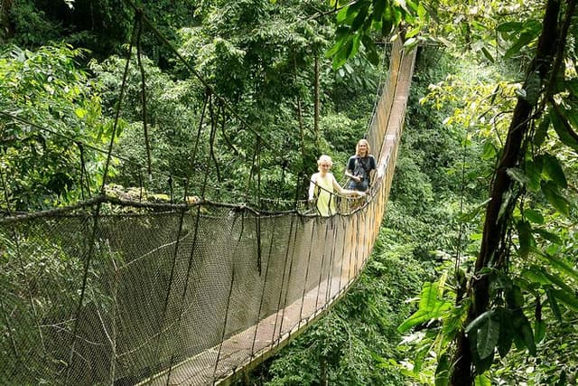 Rainmaker Park Hanging Bridges & Waterfalls Tour with Jade Tours