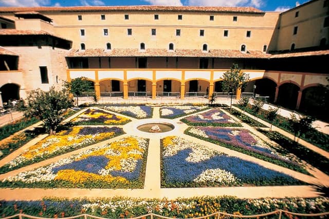Van Gogh Half-Day Tour from Avignon