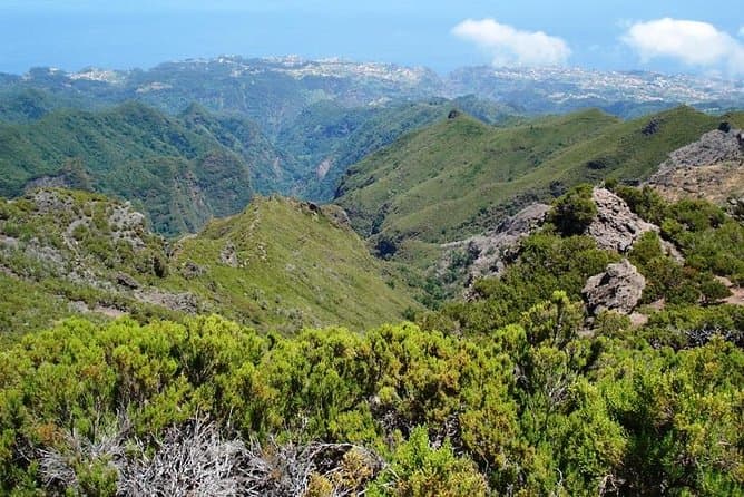 Ultimate Pico Ruivo Sunrise Trekking Adventure in Funchal