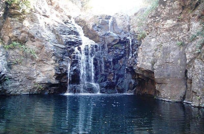 Best Tours for Levada Alecrim Walk