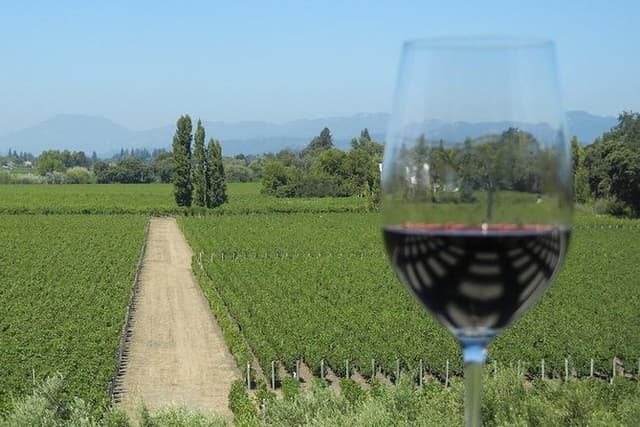 Sonoma Wine Tour with 2 Tastings Included Small-Group Half Day