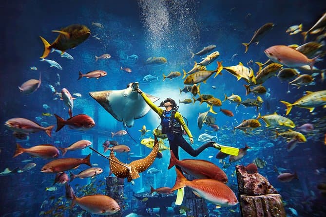 Explore Atlantis Lost Chambers Aquarium: Dubai's Best Attraction